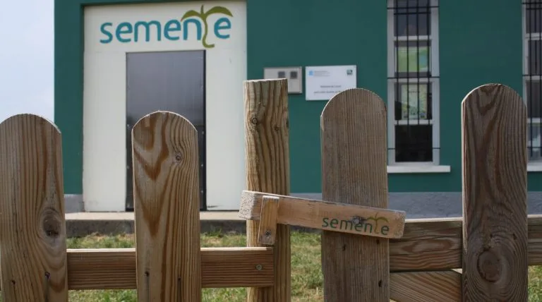 Semente, lingua, ensino.